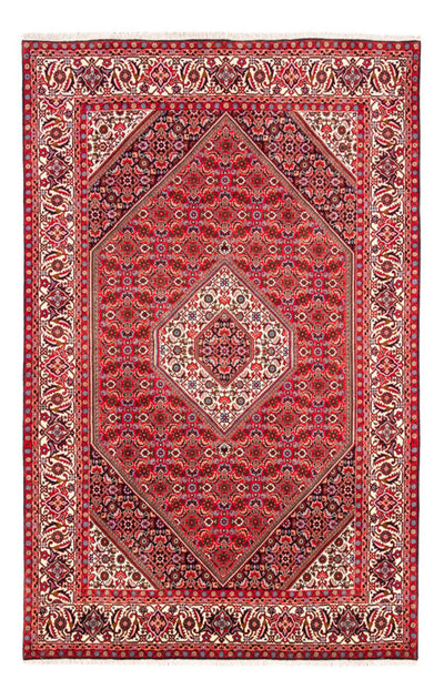 Bidjar Rug 170x253cm - Persian Rugs - red