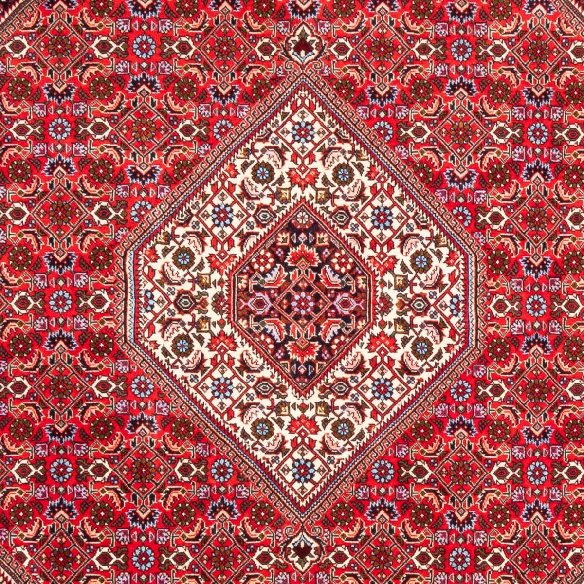 Perser Rug - Bidjar - 253 x 170 cm - red