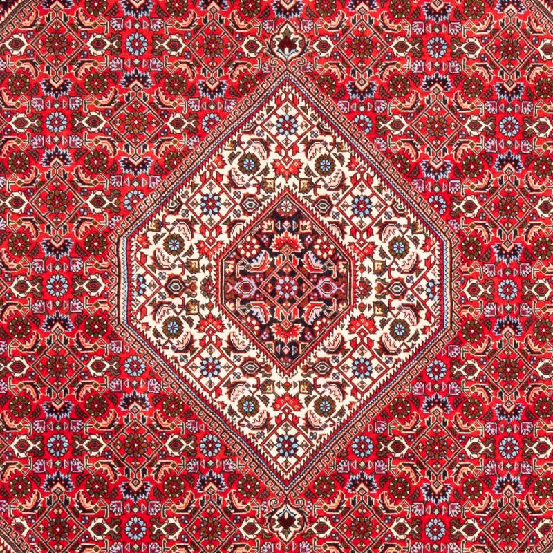 Perser Rug - Bidjar - 253 x 170 cm - red