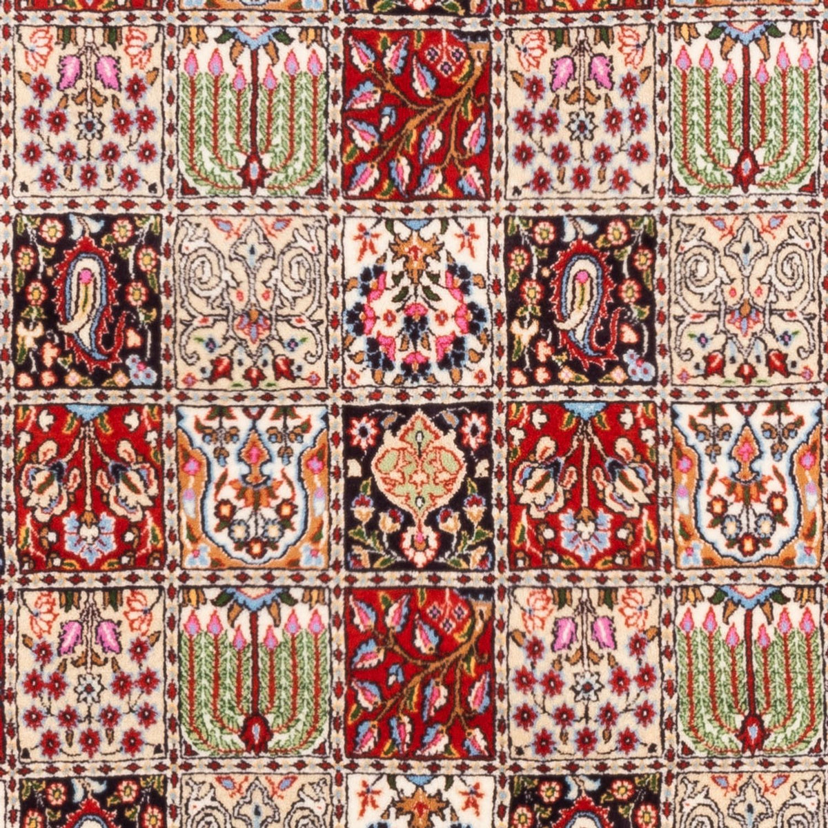 Perser Rug - Classic - 244 x 165 cm - multicolored