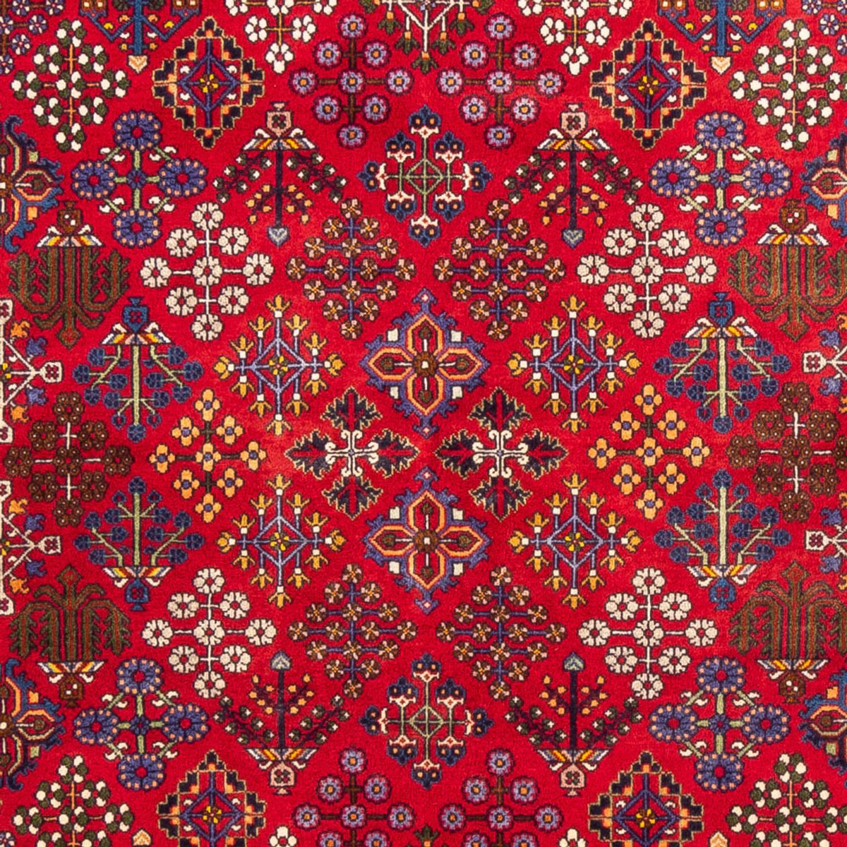 Perser Rug - Classic - 258 x 168 cm - red