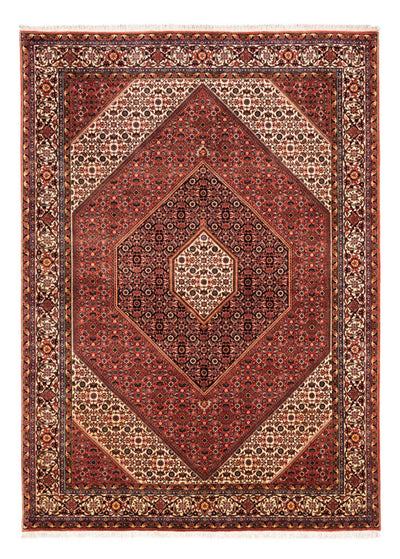 Bidjar Rug 170x235cm - Persian Rugs - red