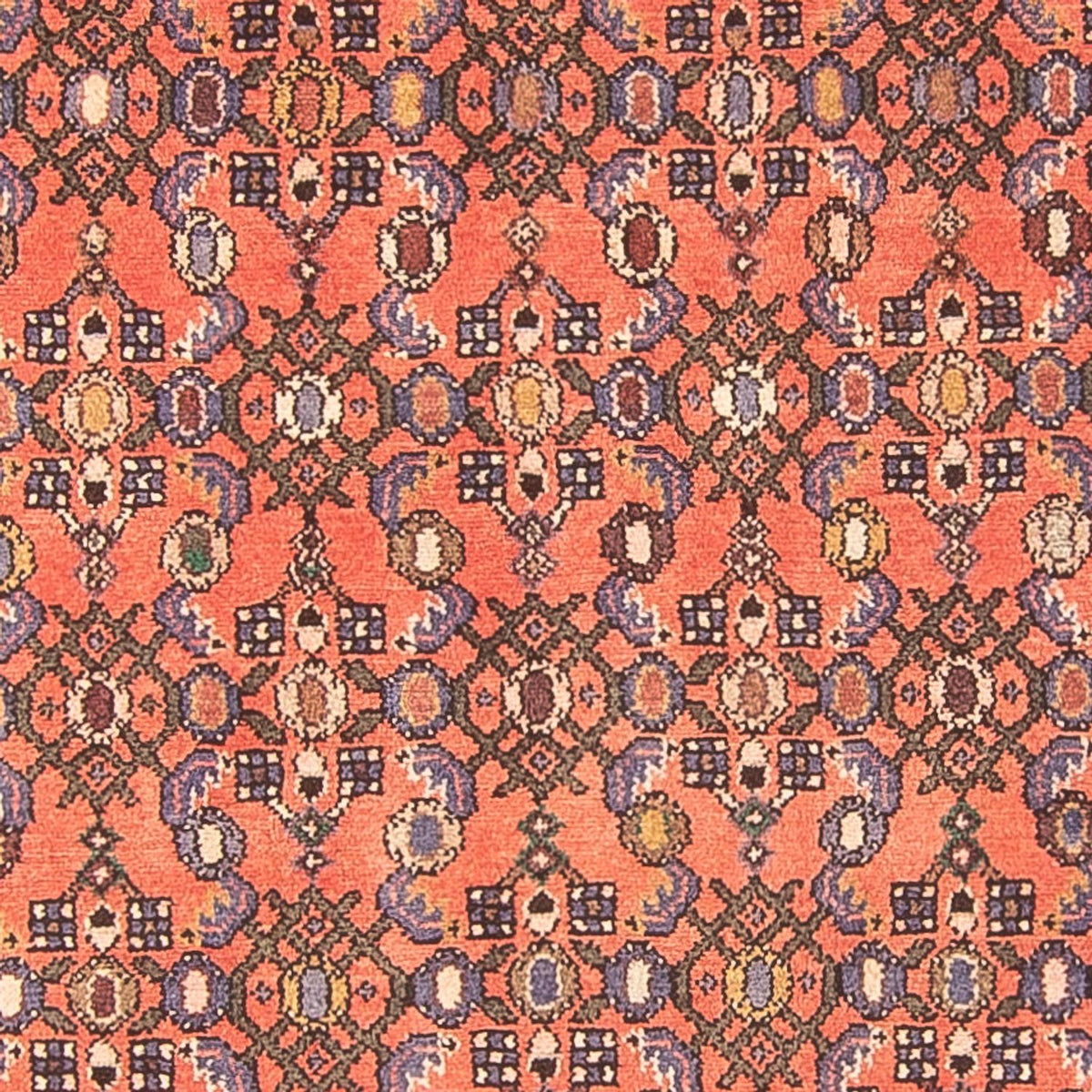 Runner Perser Rug - Nomadic - 270 x 125 cm - red