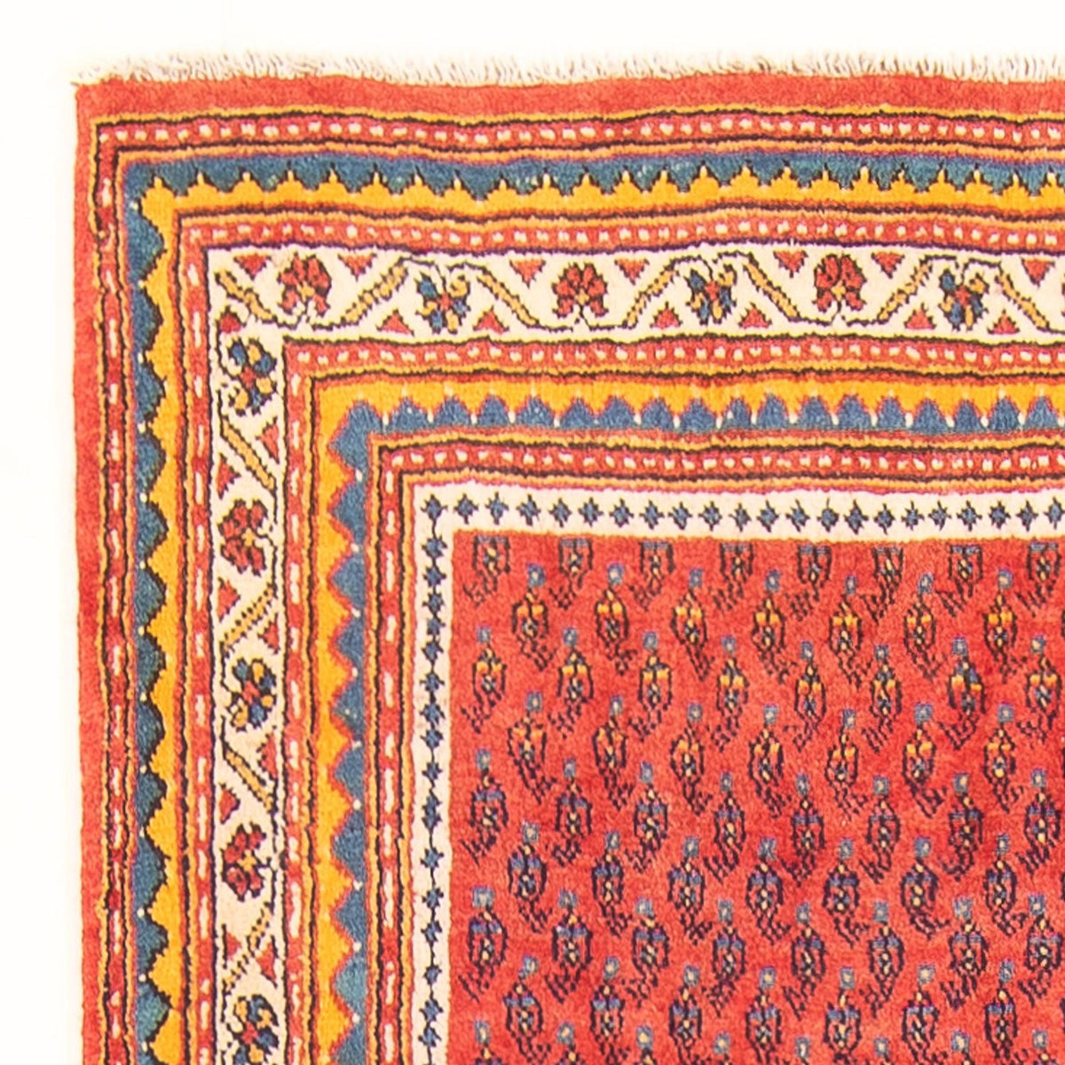 Sarouk Rug 118x328cm - Persian Rugs