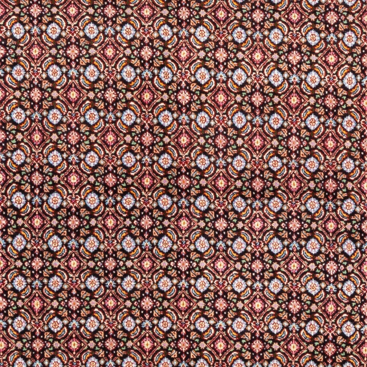 Perser Rug - Classic square  - 195 x 193 cm - dark blue