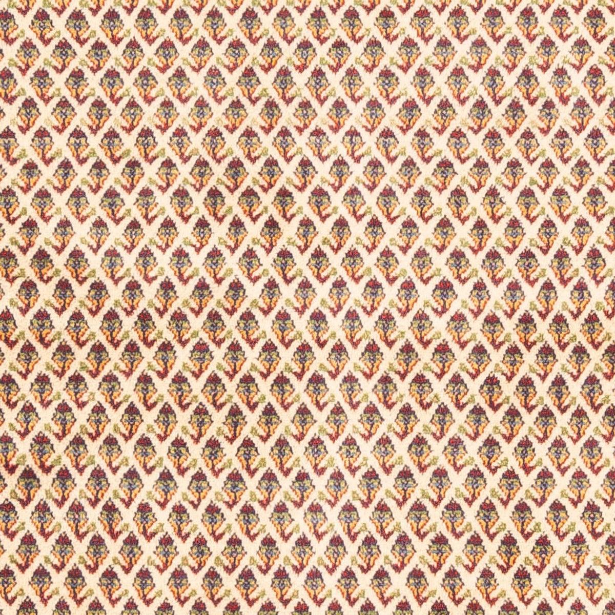 Perser Rug - Mir - 254 x 213 cm - light beige