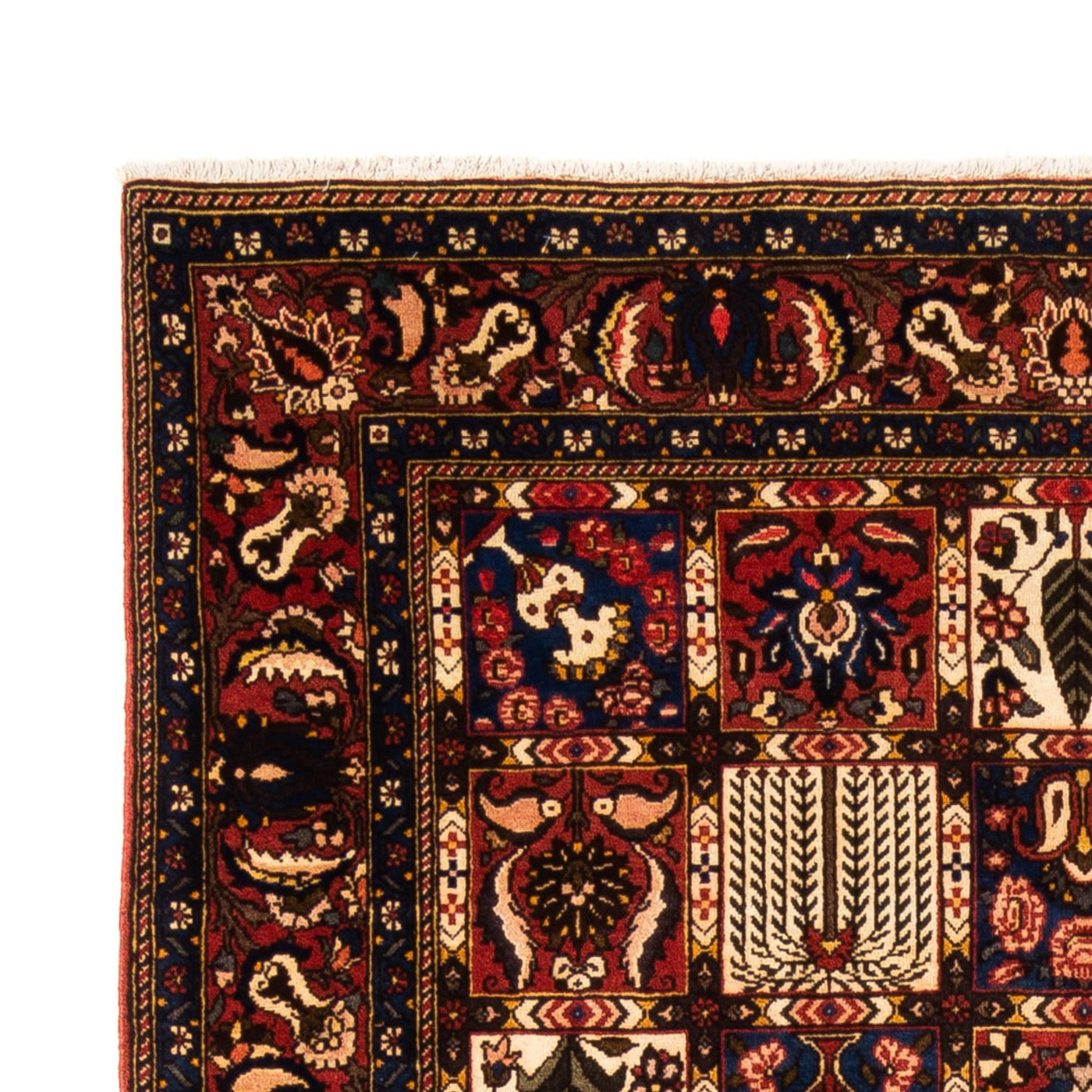 Bakhtiari Rug 250x155cm - Persian Rugs