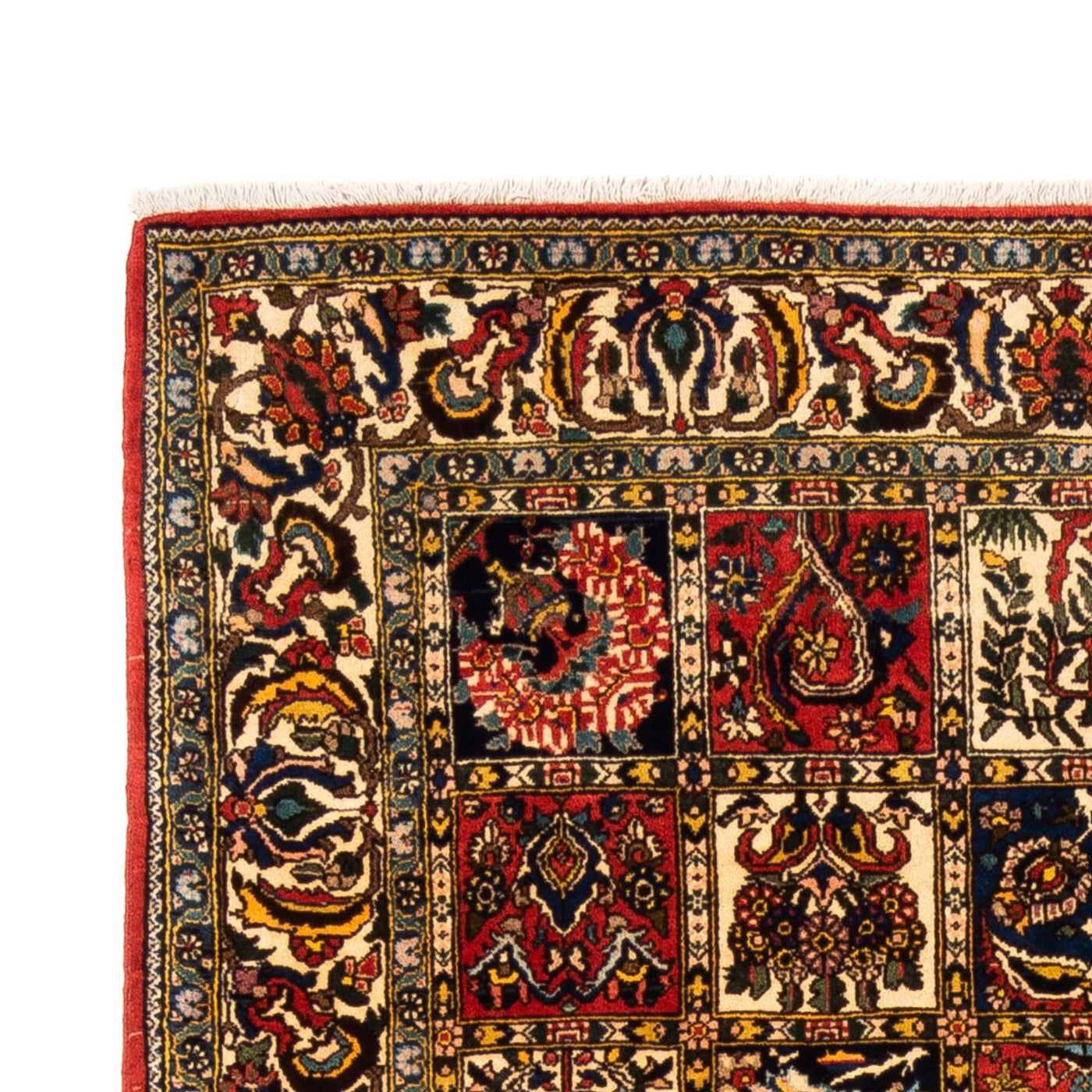 Bakhtiari Rug 250x155cm - Persian Rugs
