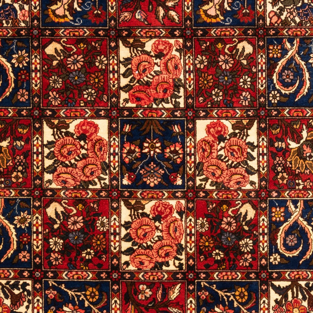 Perser Rug - Nomadic - 260 x 157 cm - multicolored