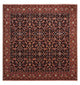 Bidjar Teppich 250x248cm - Perserteppich