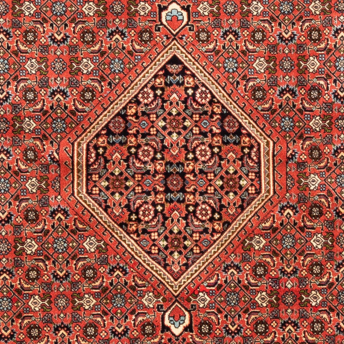 Perser Rug - Bidjar - 233 x 200 cm - light red