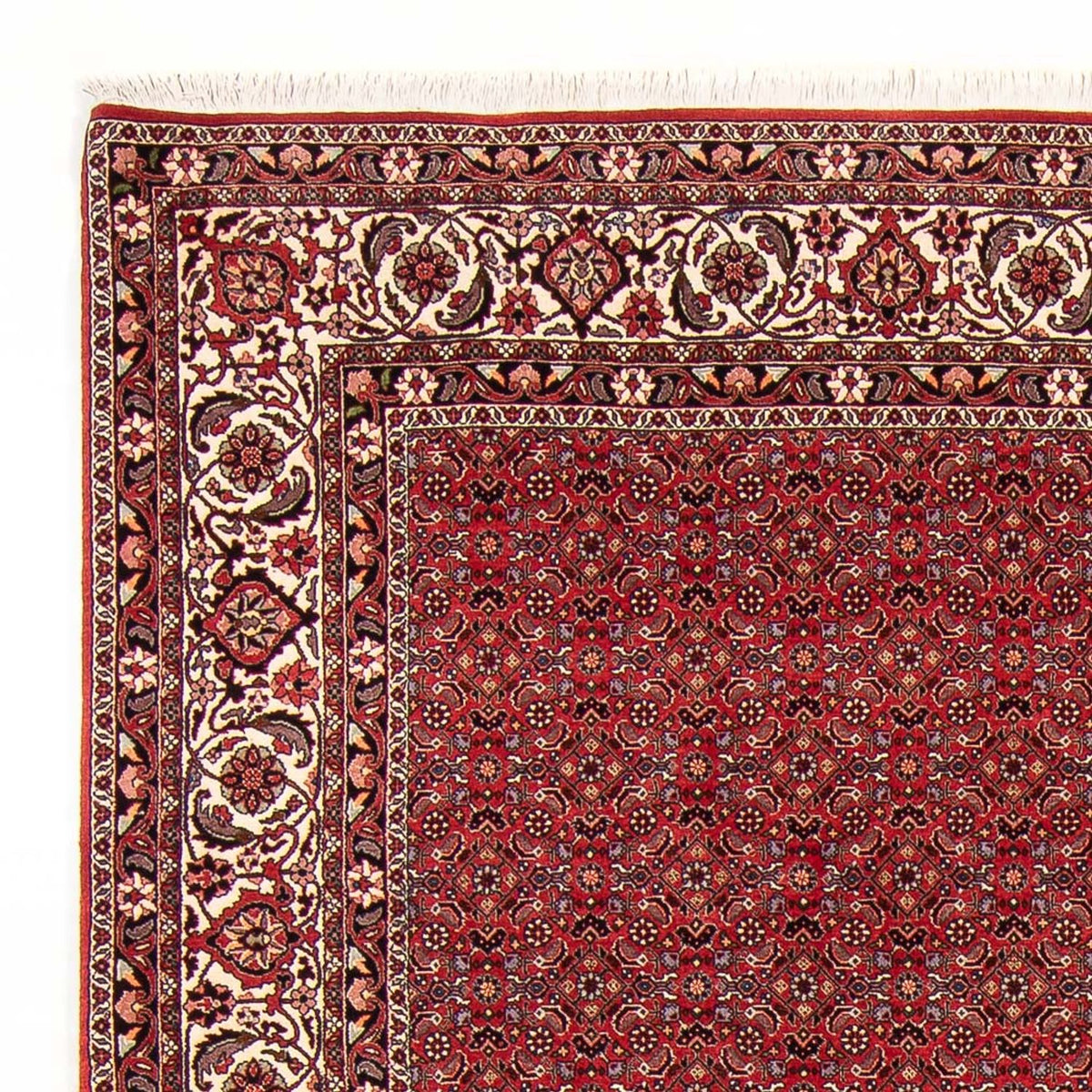 Perser Rug - Bidjar - Royal - 272 x 217 cm - dark red