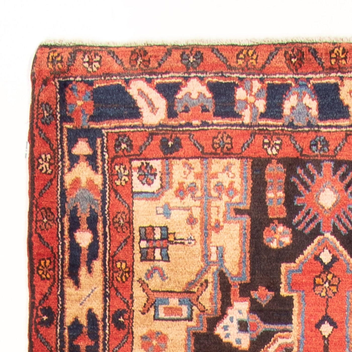 Nahavand Rug 530x113cm - Persian Rugs