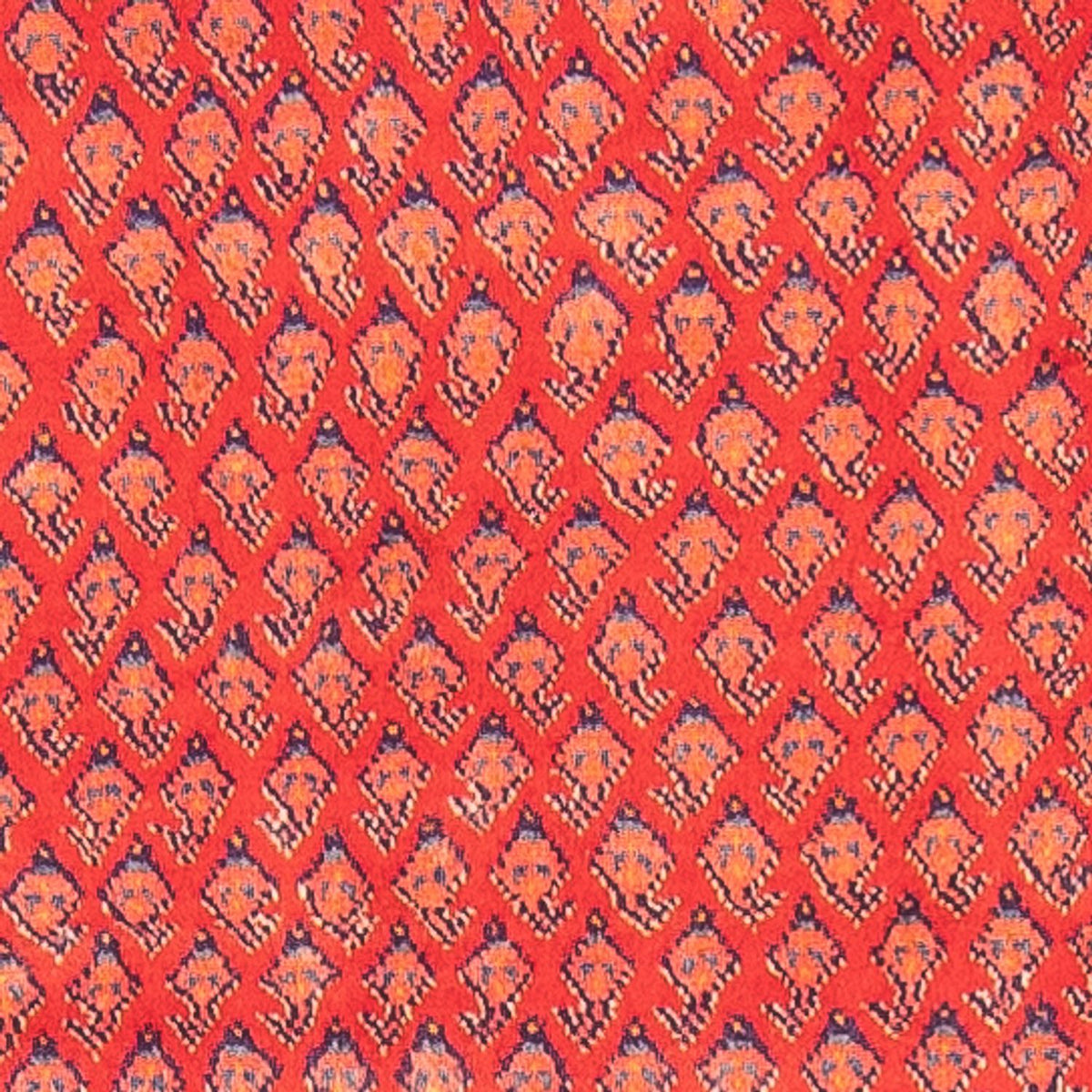 Runner Perser Rug - Nomadic - 323 x 108 cm - red