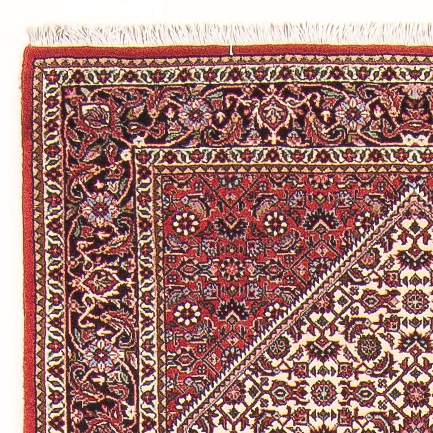 Bidjar - Takab Teppich  - Perserteppich