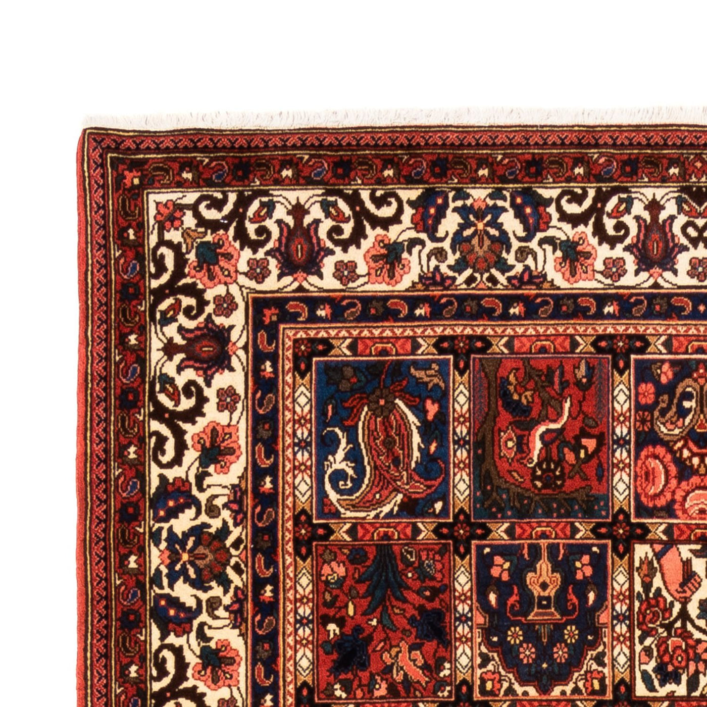 Bakhtiari Rug 252x157cm - Persian Rugs