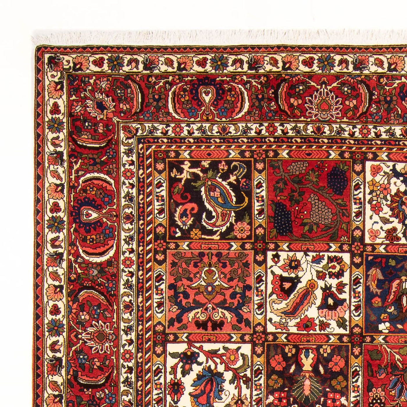 Bakhtiari Rug 314x210cm - Persian Rugs