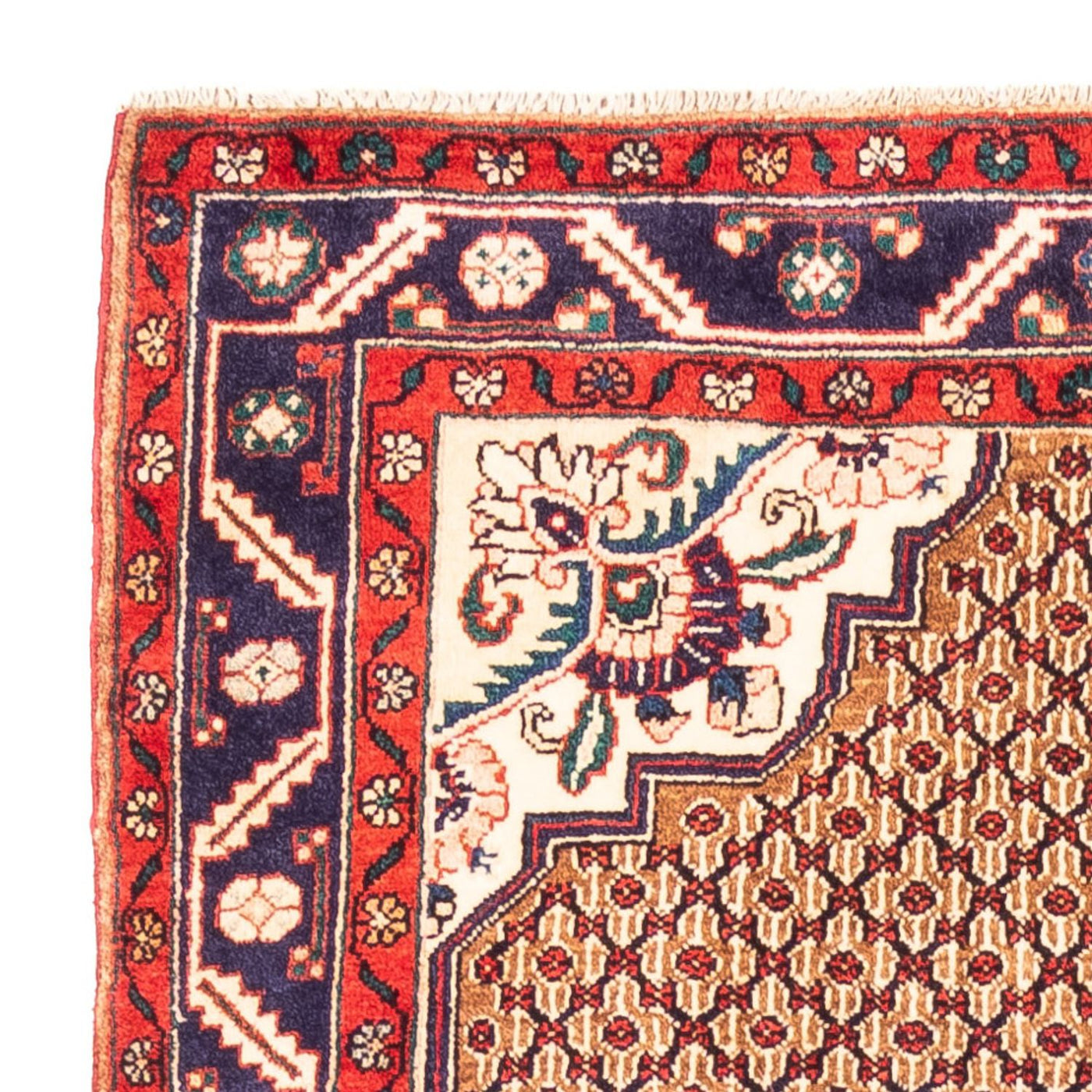 Kolyai Rug 277x153cm - Persian Rugs