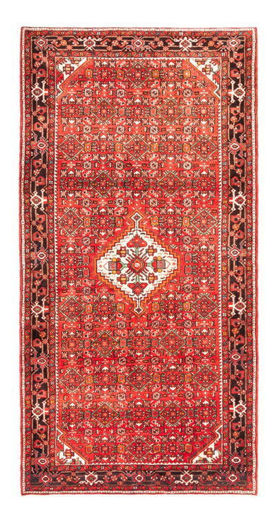 Hosseinabad Rug 160x313cm - Persian Rugs