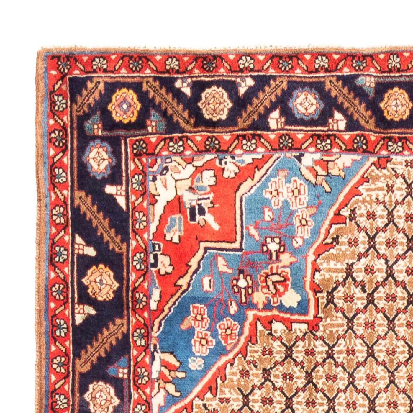 Kolyai Rug 310x158cm - Persian Rugs