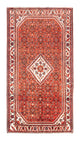 Hosseinabad Rug 156x296cm - Persian Rugs
