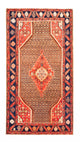 Kolyai Rug 265x157cm - Persian Rugs