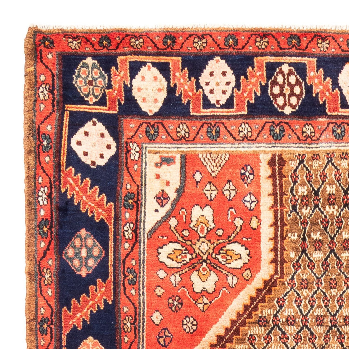 Kolyai Rug 265x157cm - Persian Rugs