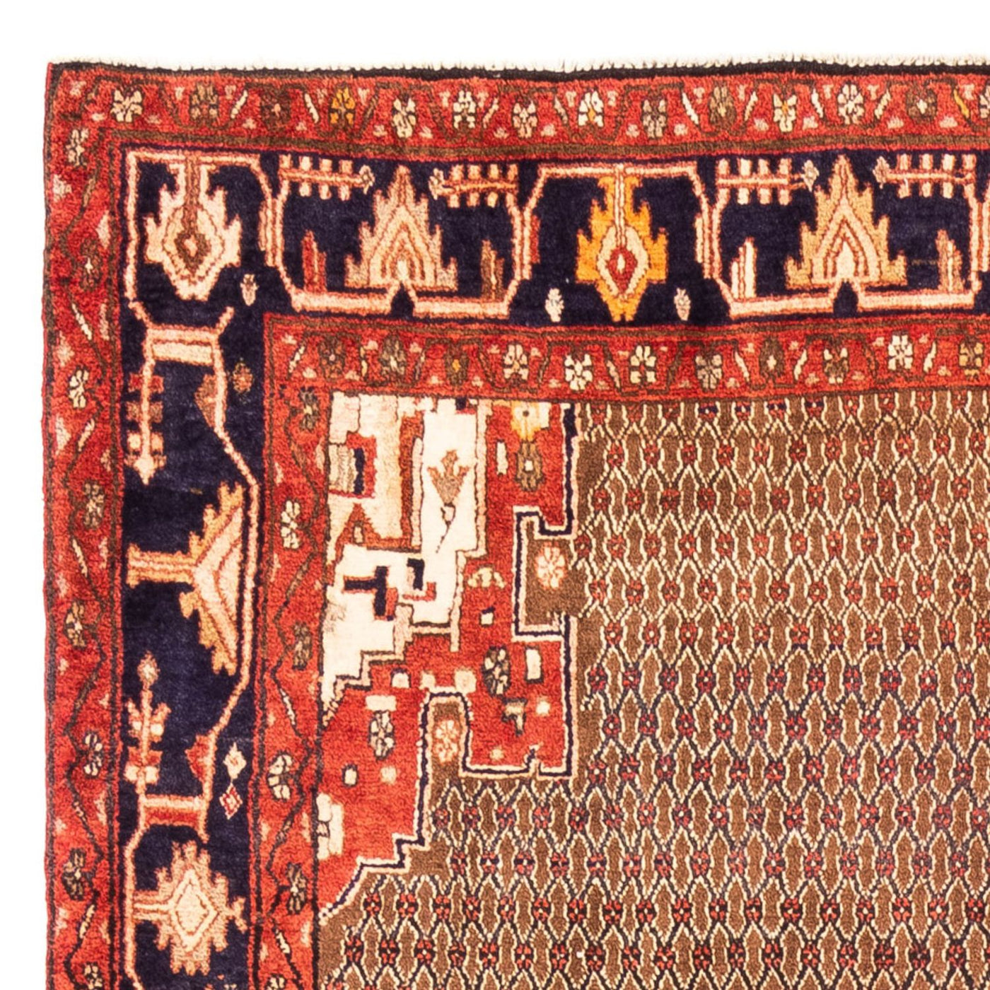 Kolyai Rug 307x160cm - Persian Rugs