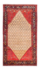 Kolyai Rug 273x153cm - Persian Rugs