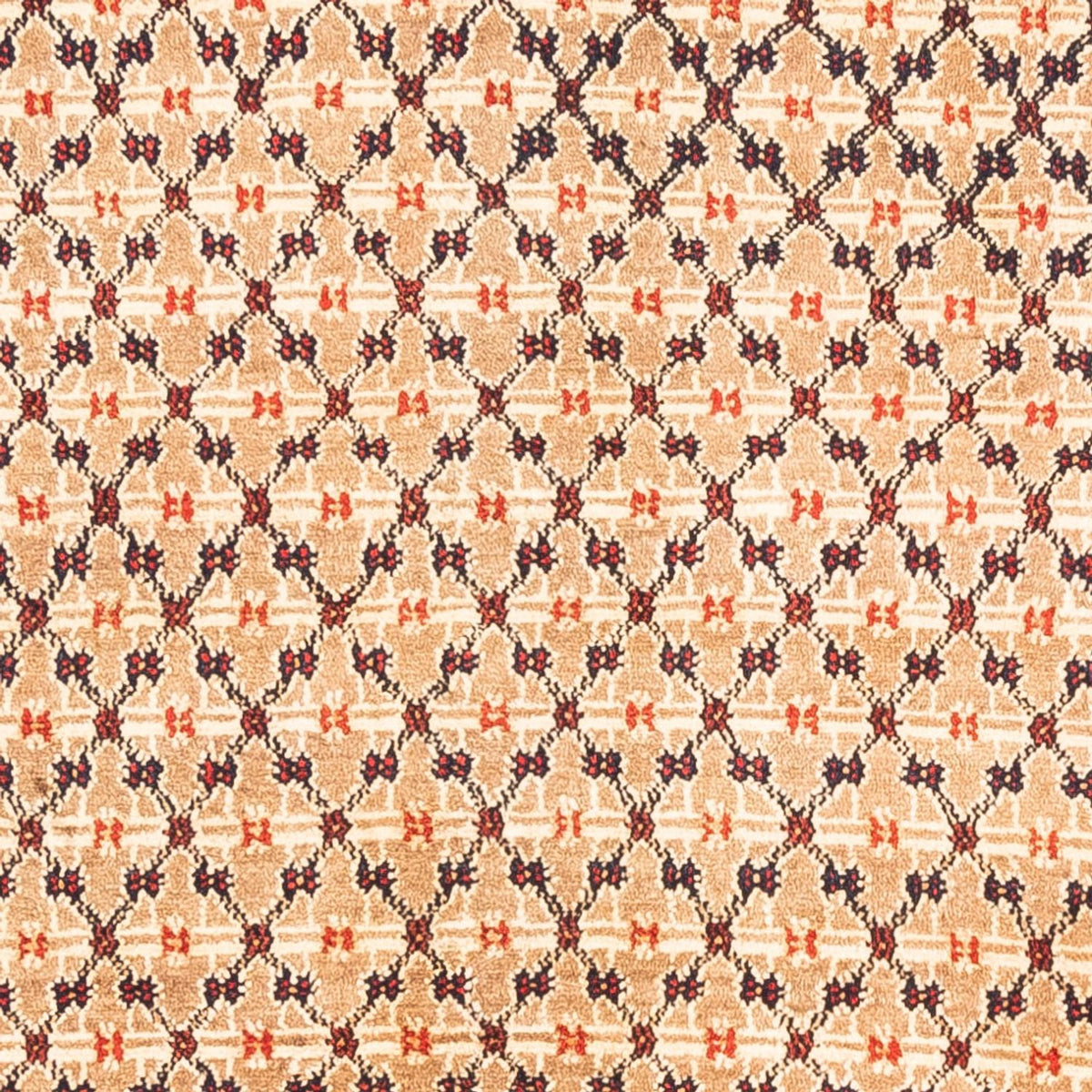 Perser Rug - Nomadic - 273 x 153 cm - cream