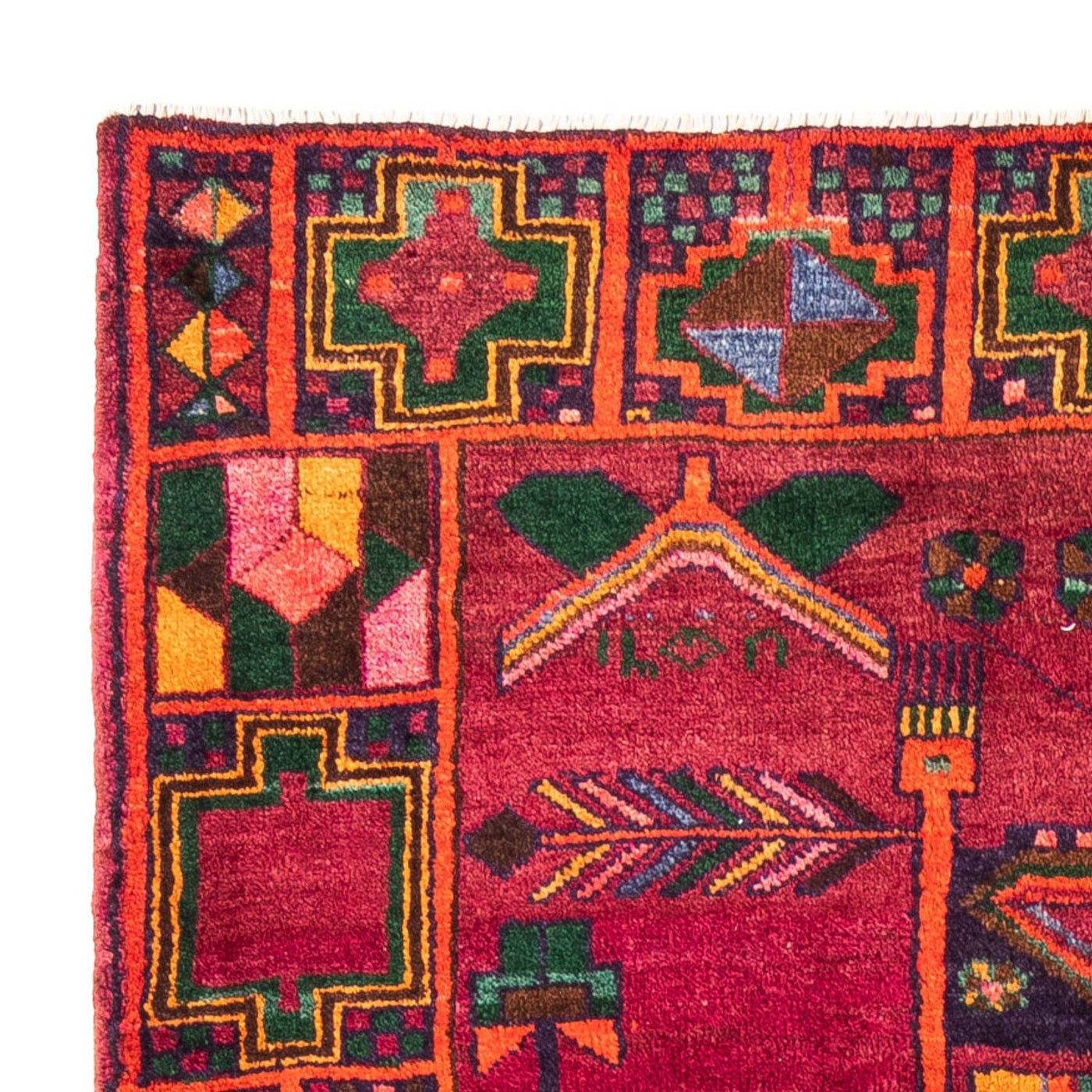 Kolyai Rug 278x168cm - Persian Rugs