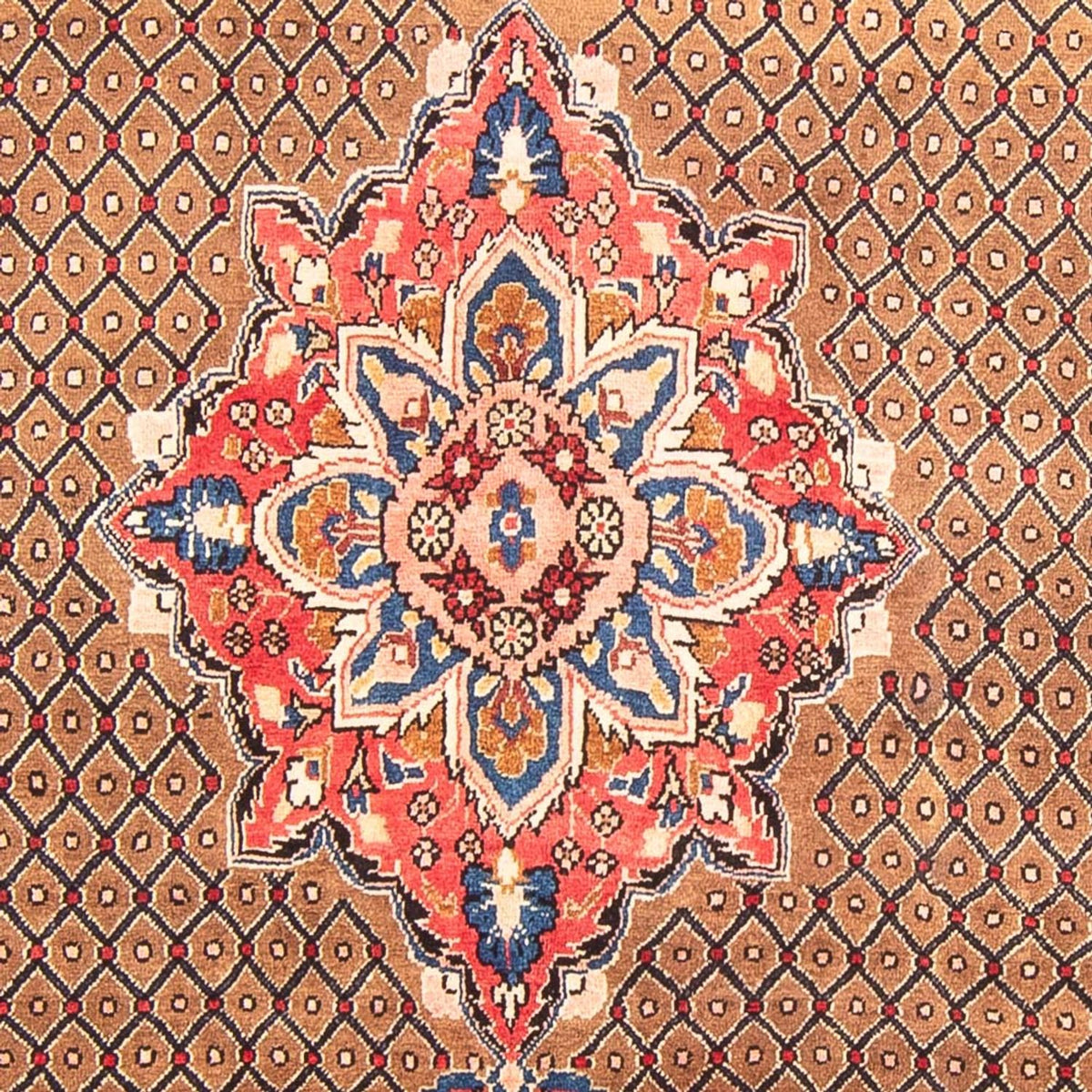 Perser Rug - Nomadic - 285 x 150 cm - multicolored