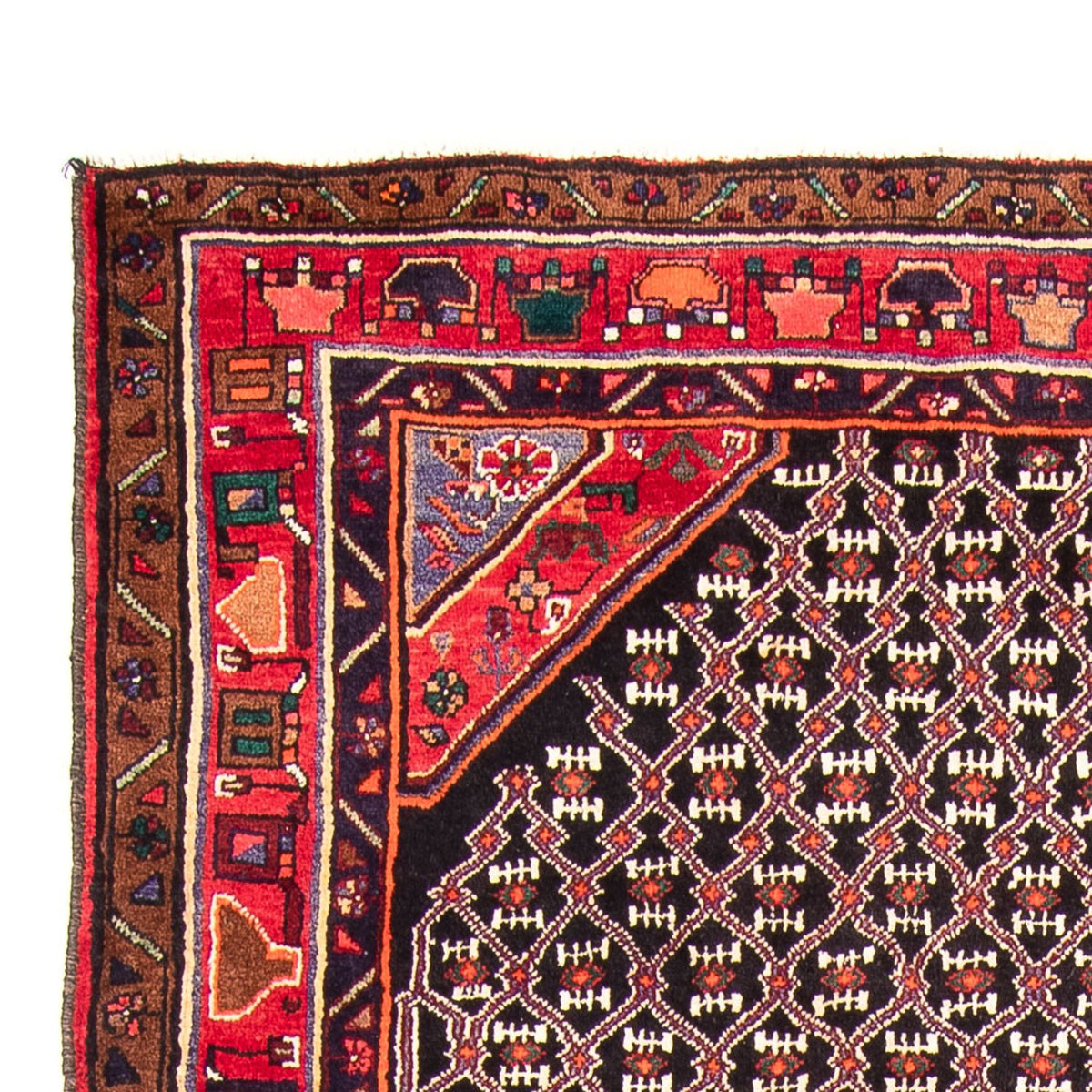 Kolyai Rug 313x152cm - Persian Rugs