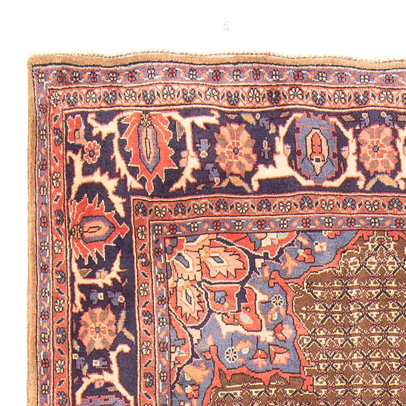 Kolyai Teppich 295x157cm - Perserteppich