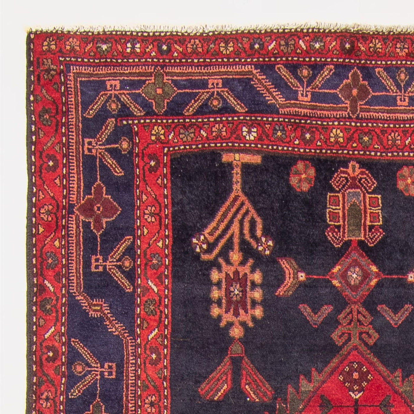 Kolyai Rug 290x134cm - Persian Rugs