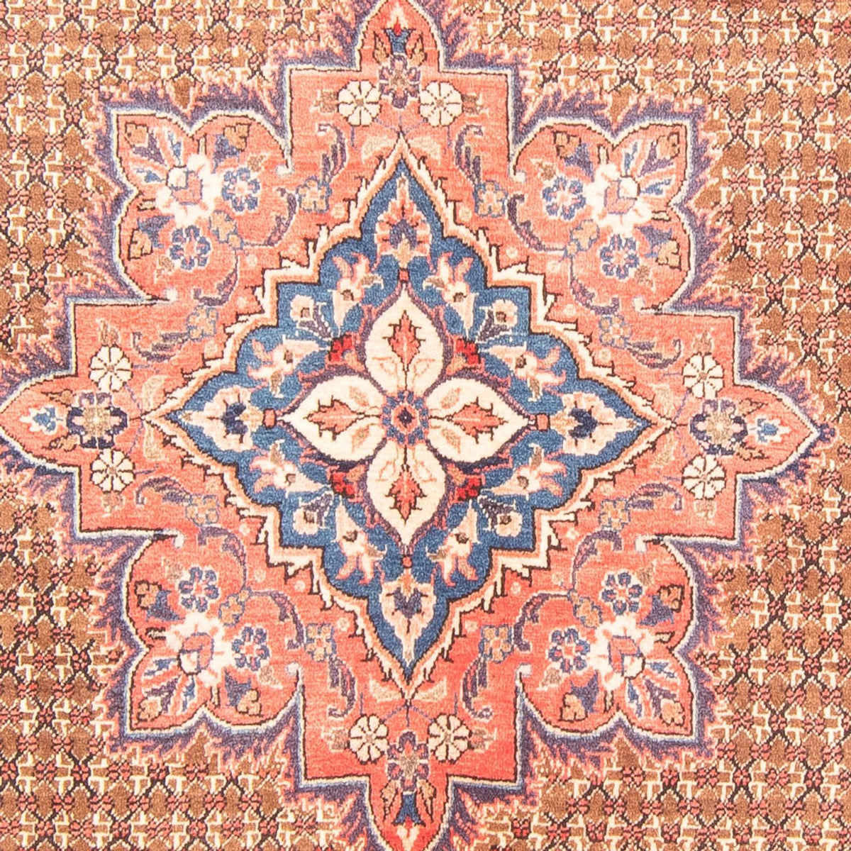 Perser Rug - Nomadic - 310 x 155 cm - multicolored