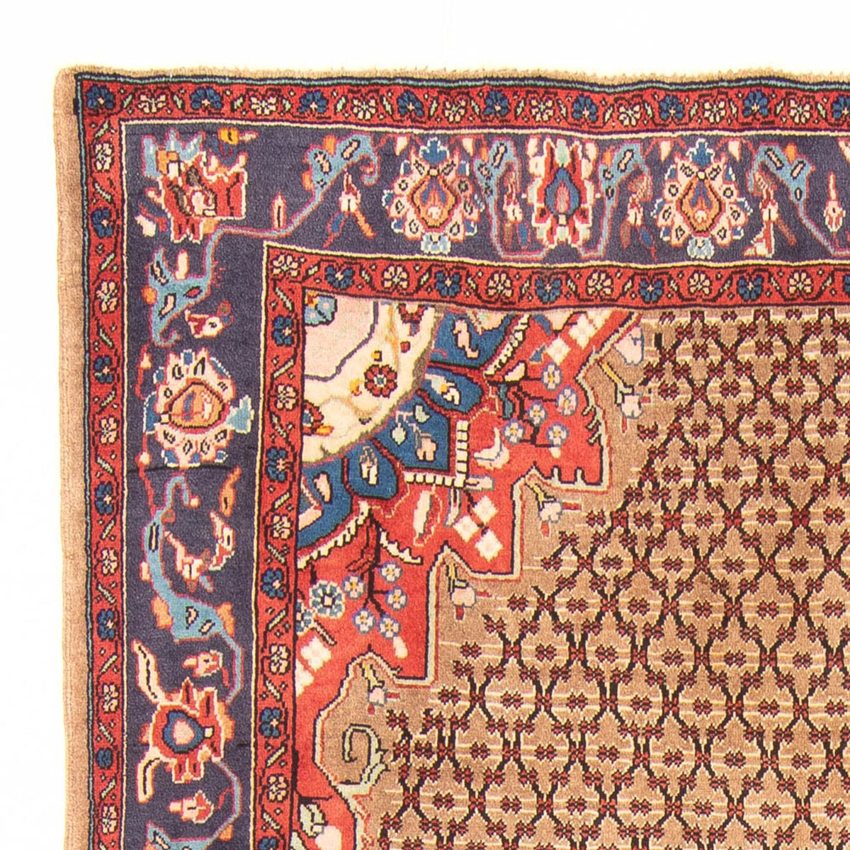 Kolyai Rug 150x310cm - Persian Rugs
