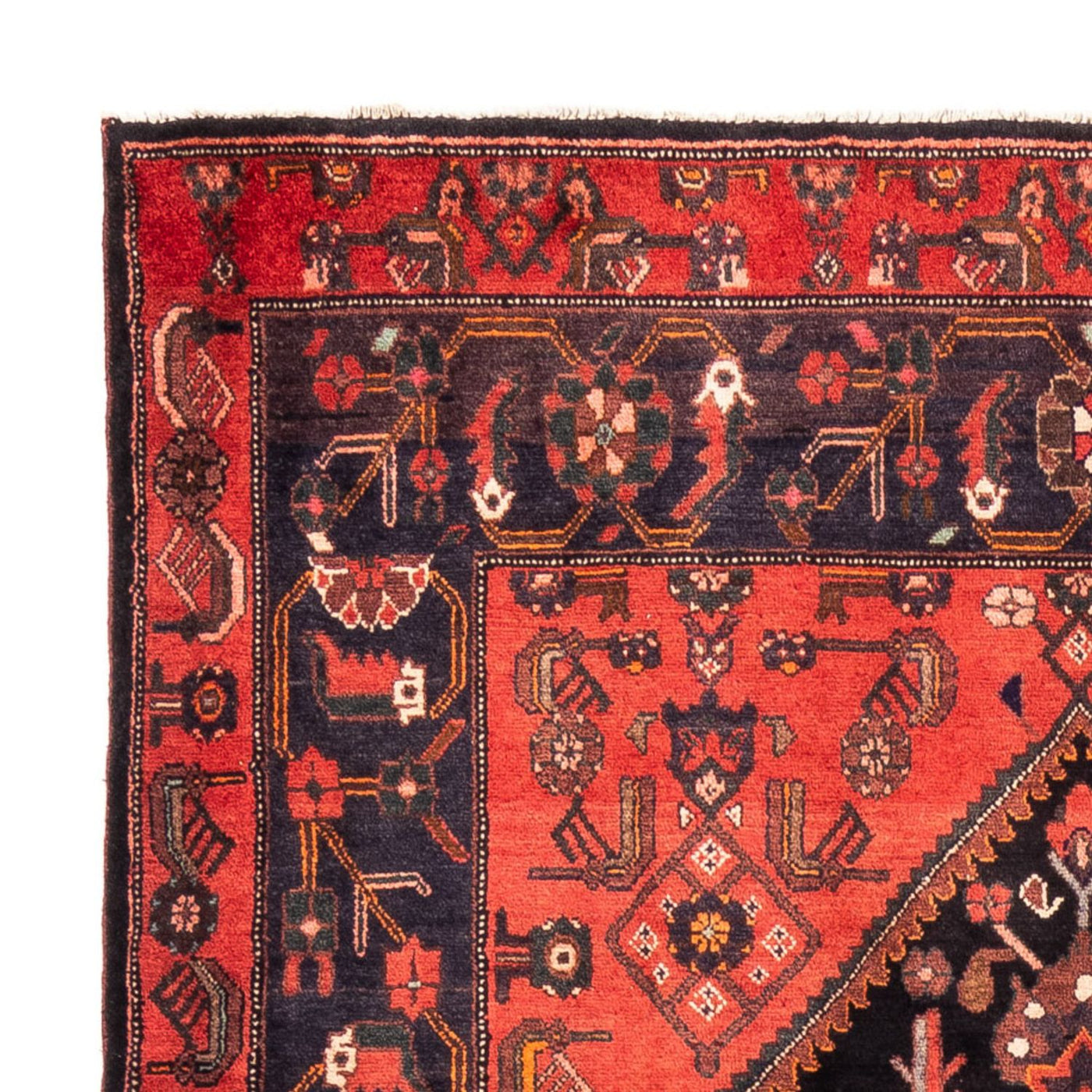 Kolyai Rug 300x170cm - Persian Rugs