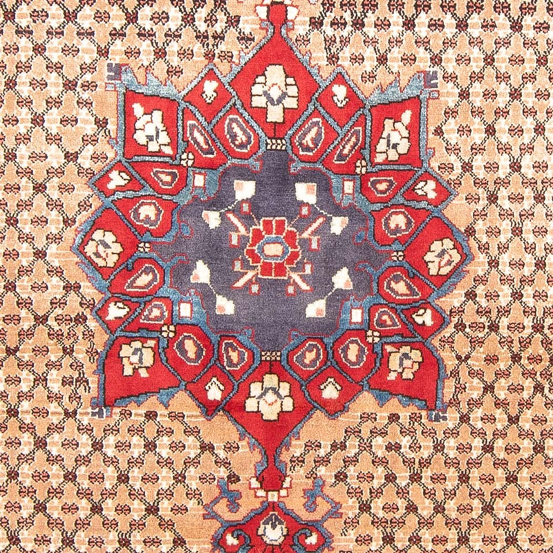 Kolyai Rug 290x150cm - Persian Rugs