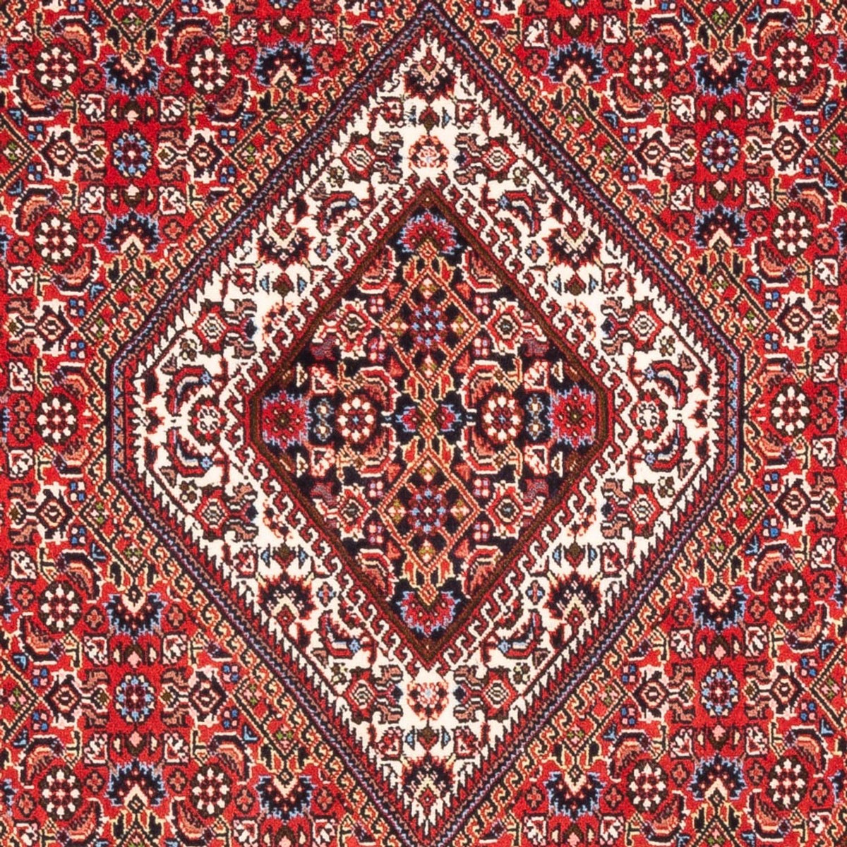 Perser Rug - Bidjar - 180 x 110 cm - red