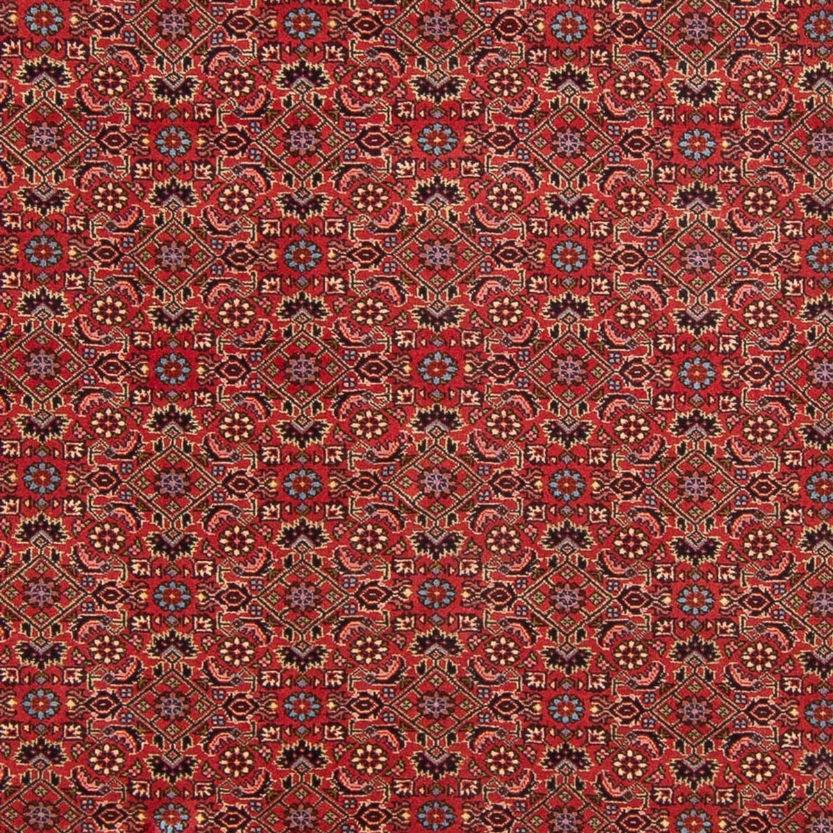 Perser Rug - Bidjar - 296 x 197 cm - red