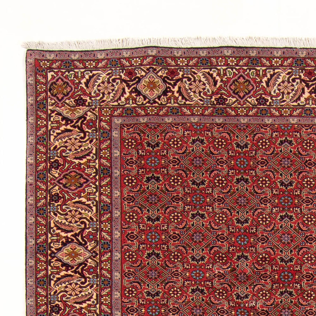 Perser Rug - Bidjar - 296 x 197 cm - red