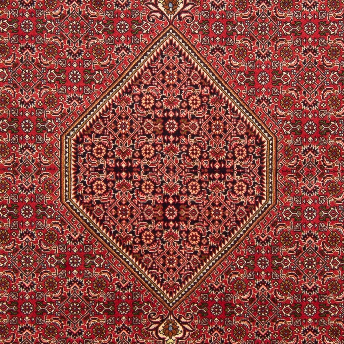 Perser Rug - Bidjar - 290 x 192 cm - red