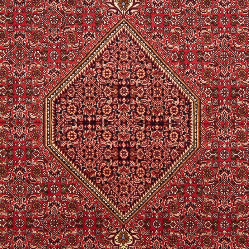 Perser Rug - Bidjar - 290 x 192 cm - red