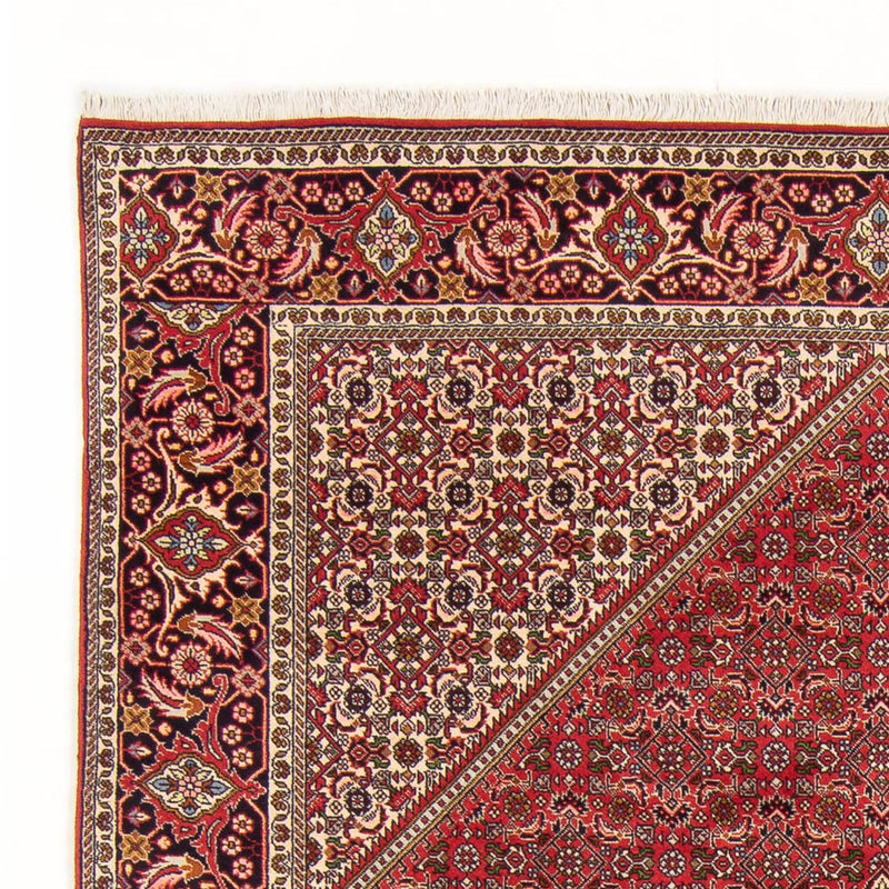 Perser Rug - Bidjar - 290 x 192 cm - red