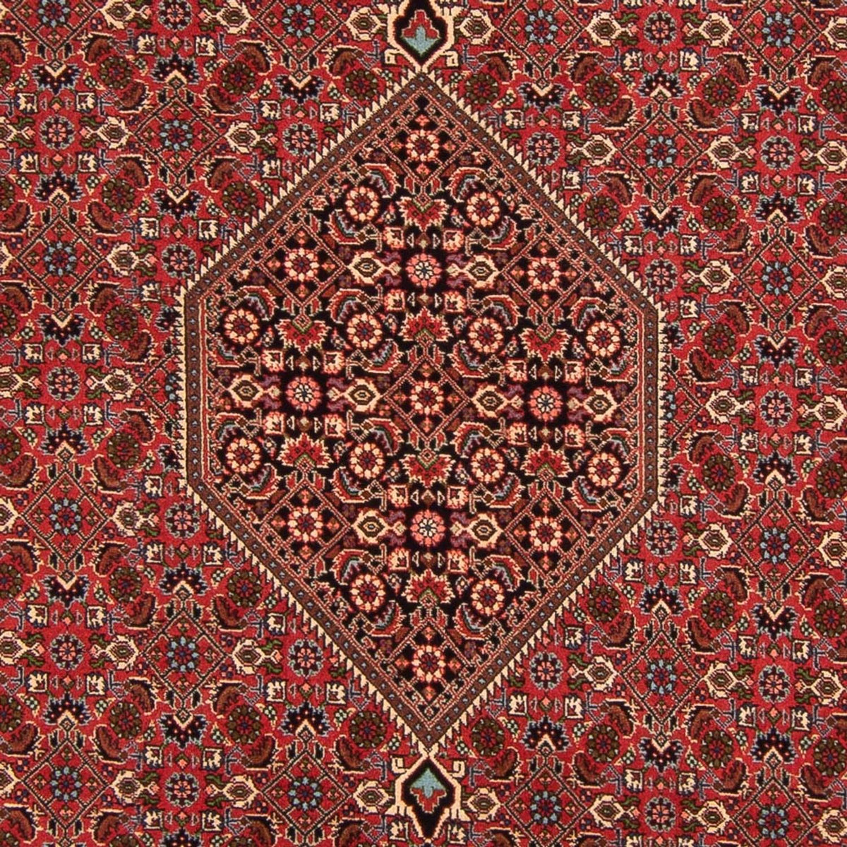 Perser Rug - Bidjar - 293 x 200 cm - red