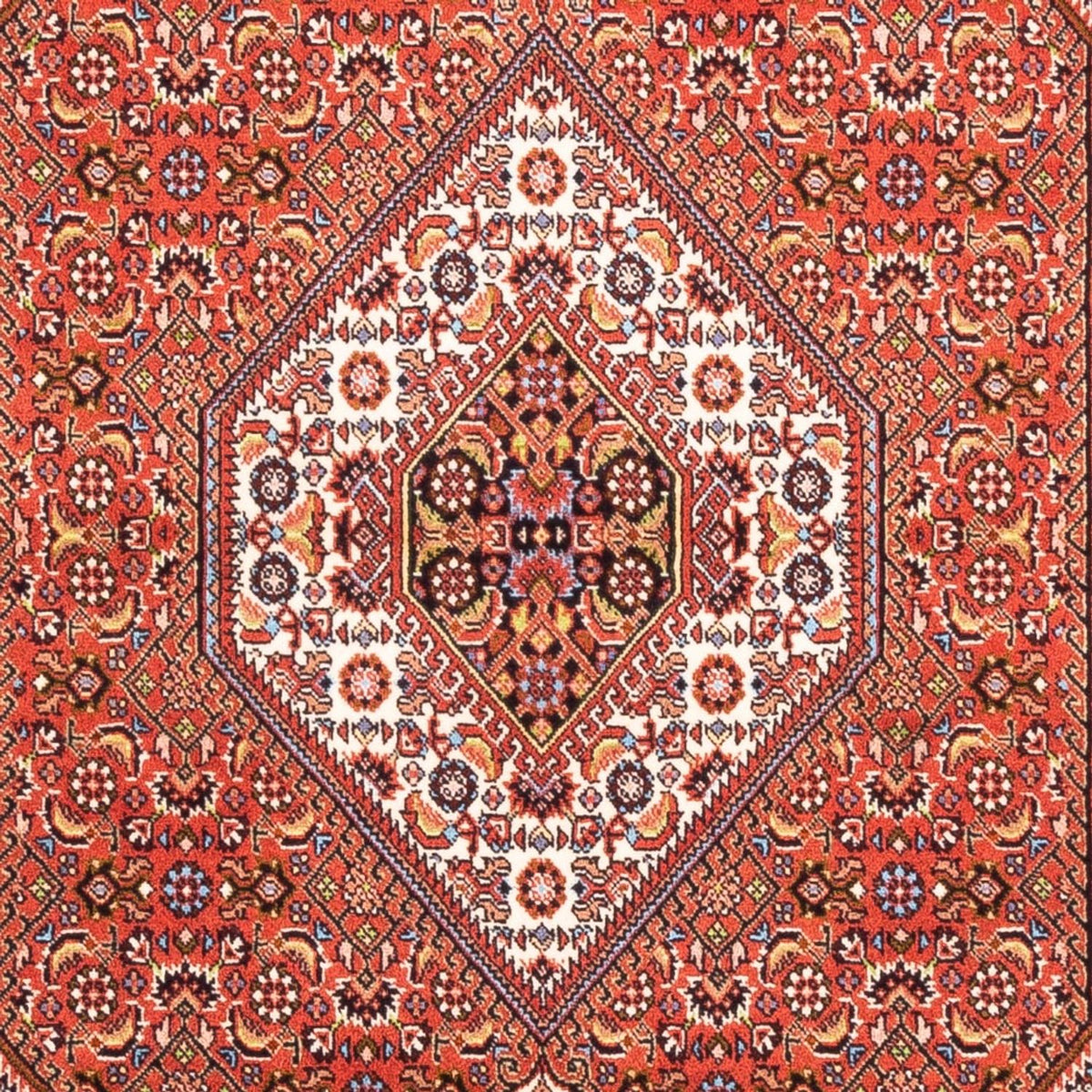 Perser Rug - Bidjar - 182 x 110 cm - red