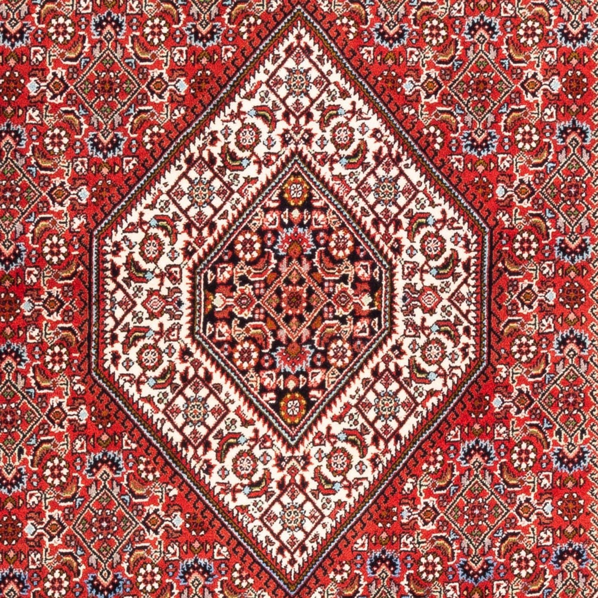 Perser Rug - Bidjar - 176 x 110 cm - red