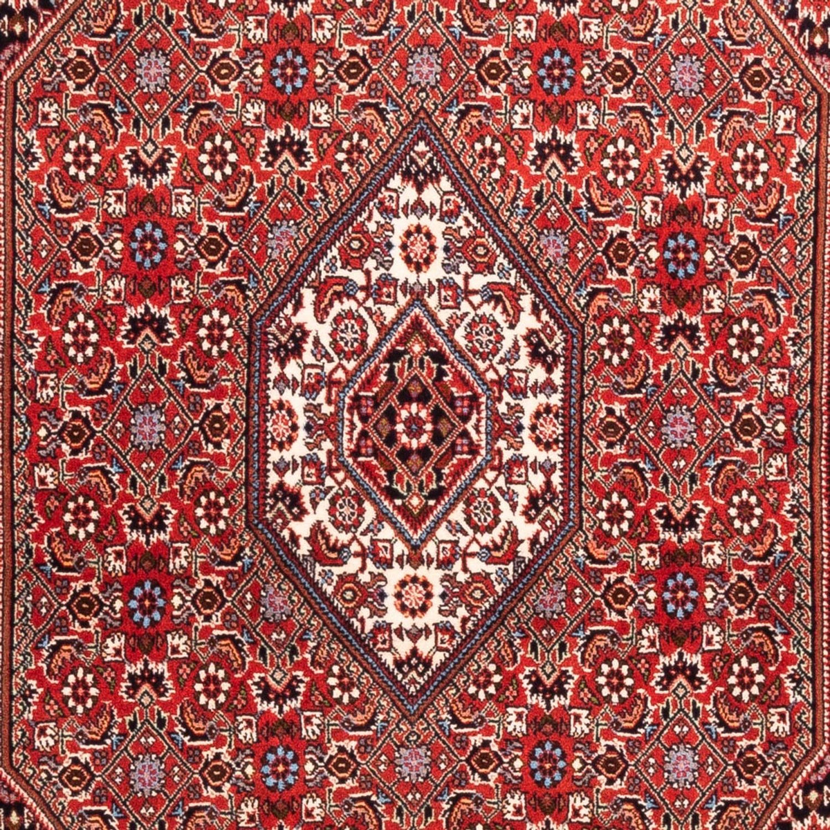 Perser Rug - Bidjar - 184 x 108 cm - red