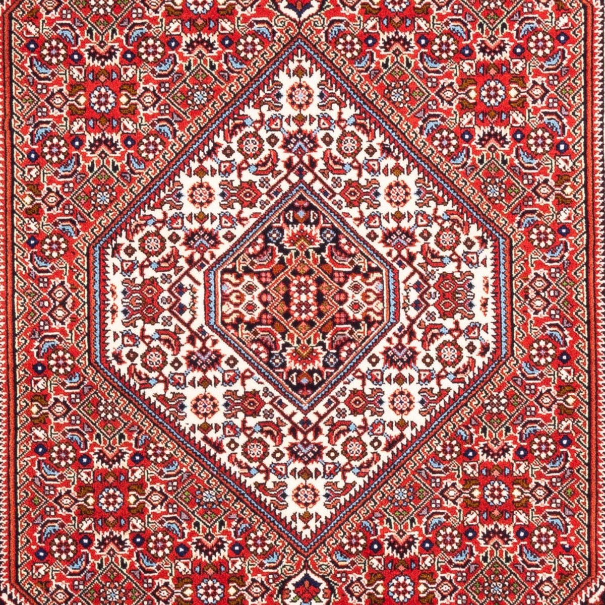 Perser Rug - Bidjar - 168 x 109 cm - red